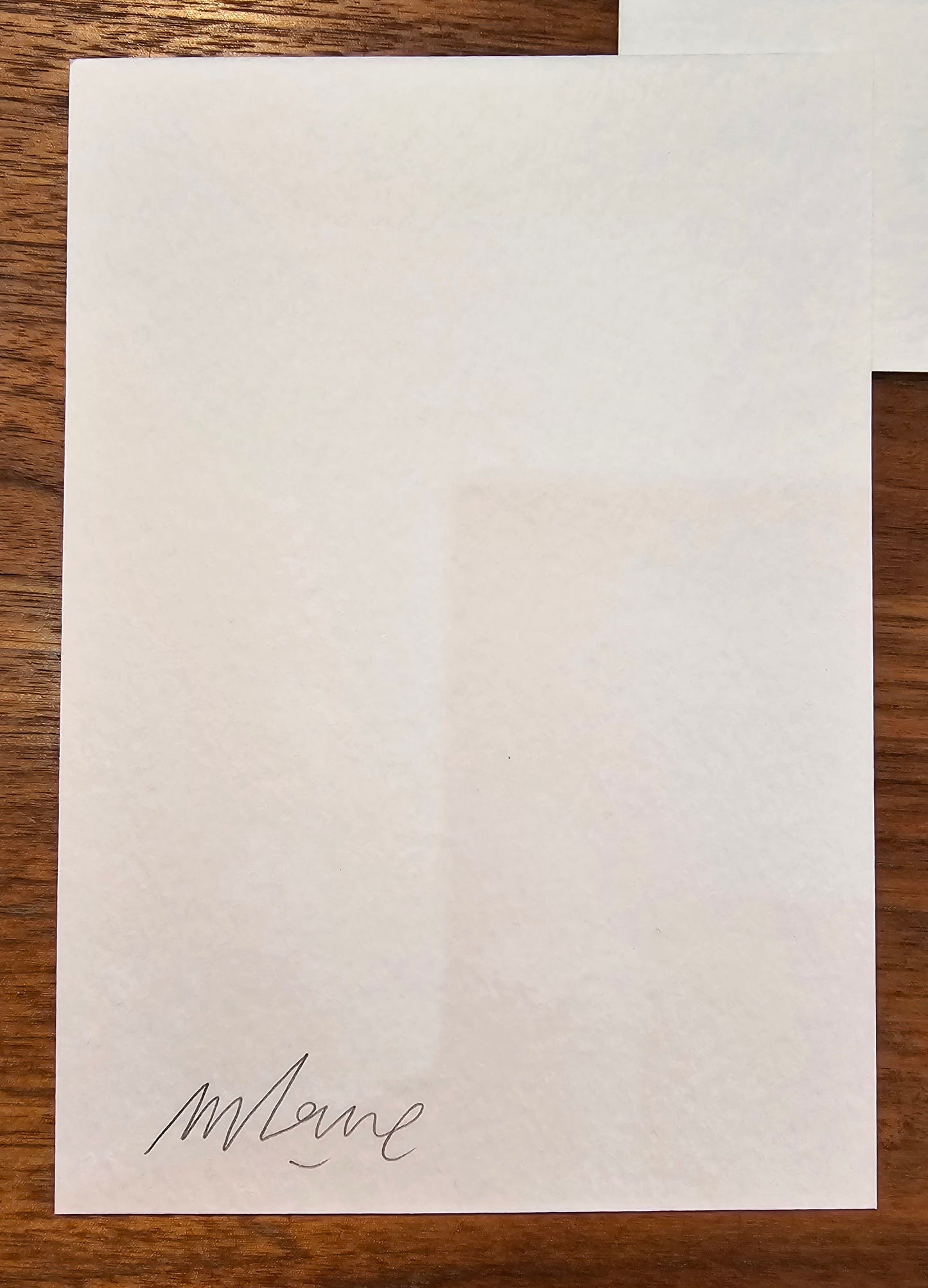 Mini Print Zuckerberg