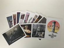 Load image into Gallery viewer, Walled Off Hotel Postcard Set