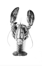 Load image into Gallery viewer, Lobster Romance