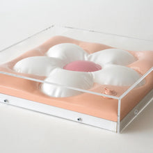 Load image into Gallery viewer, O'Neill