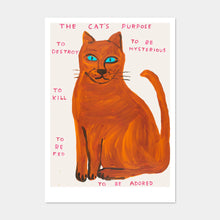 Load image into Gallery viewer, Postcards