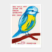 Load image into Gallery viewer, Postcards