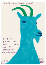 Load image into Gallery viewer, Signs Of The Zodiac - Capricorn