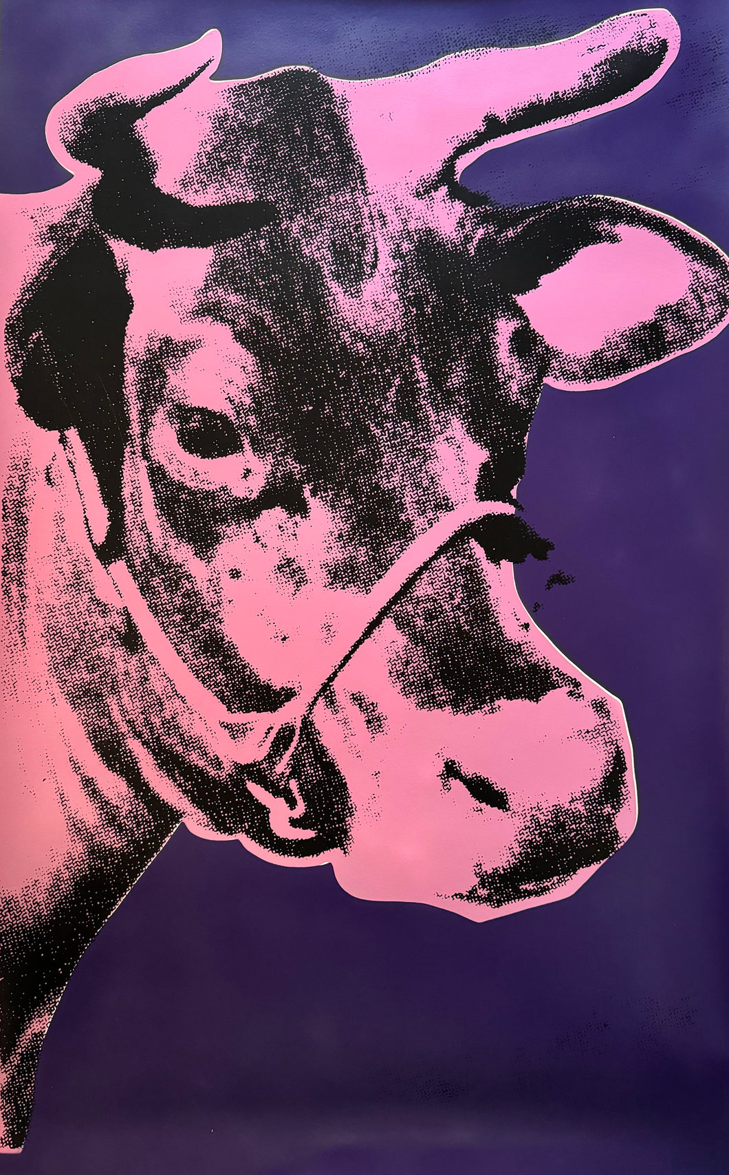 Manhattan Cow (Purple)
