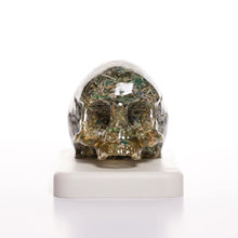 Load image into Gallery viewer, Death + Taxes (Small Skull)