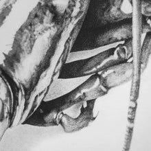 Load image into Gallery viewer, Lobster Romance