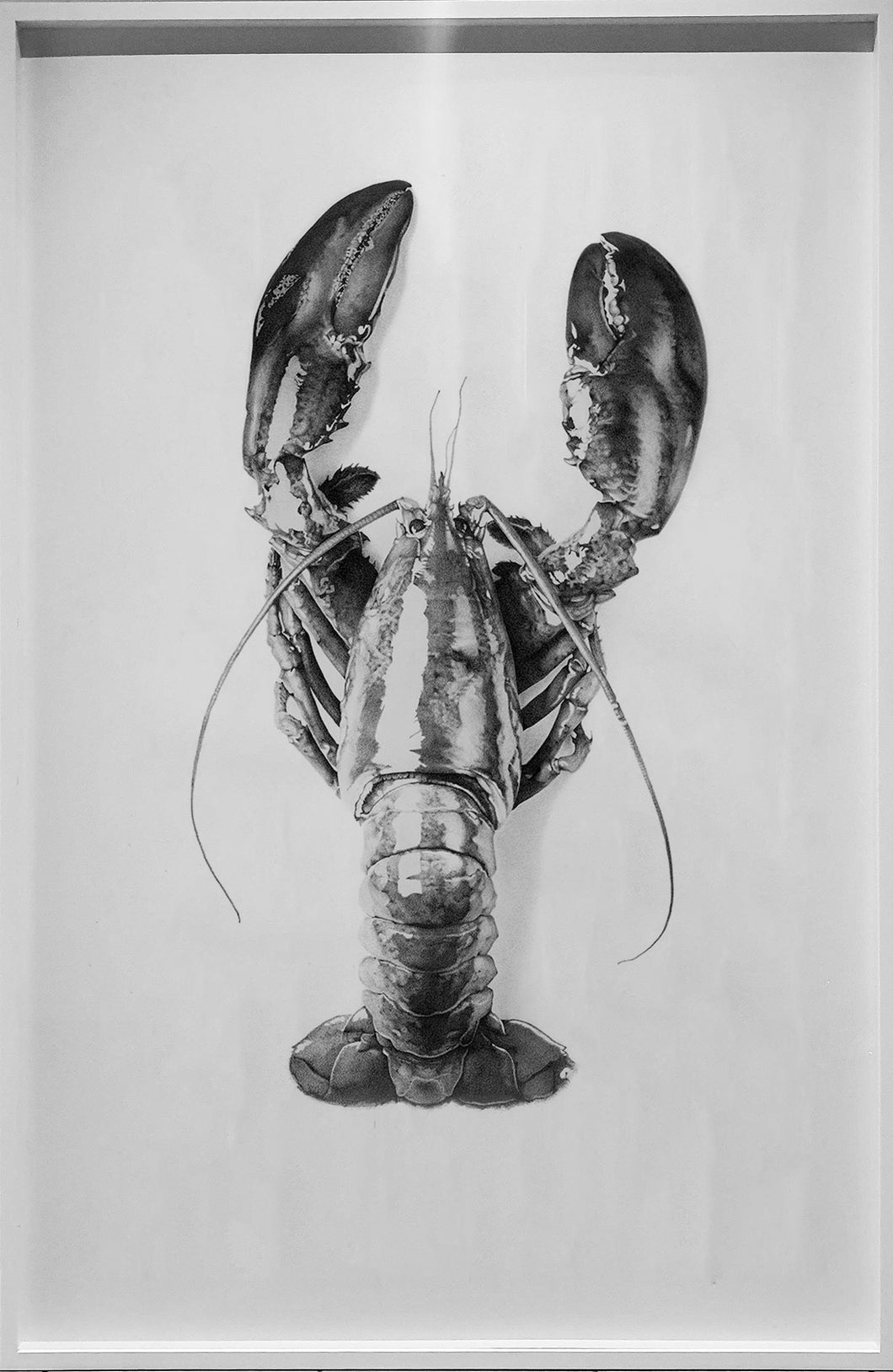 Lobster Romance