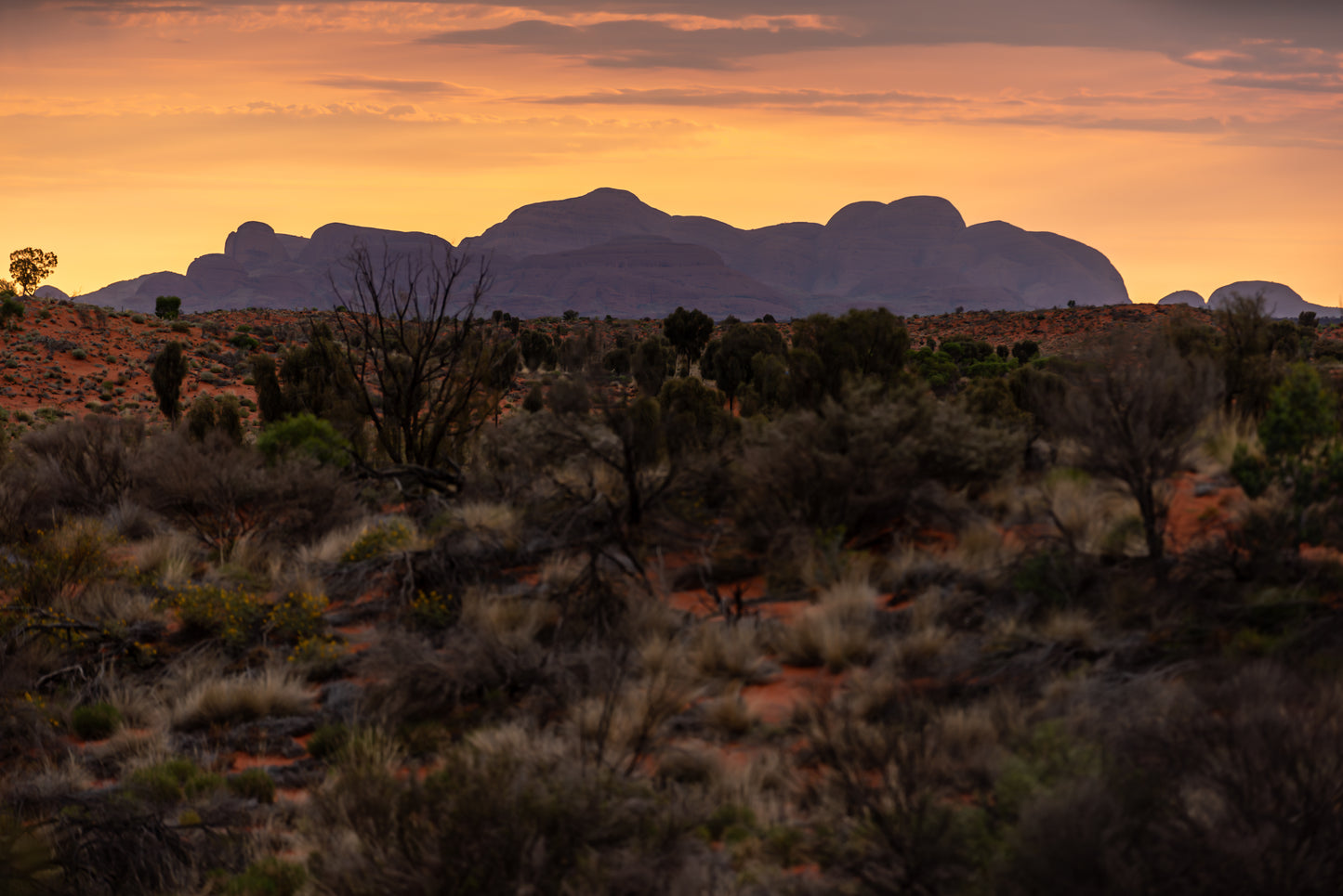 Uluru #16 (unframed)