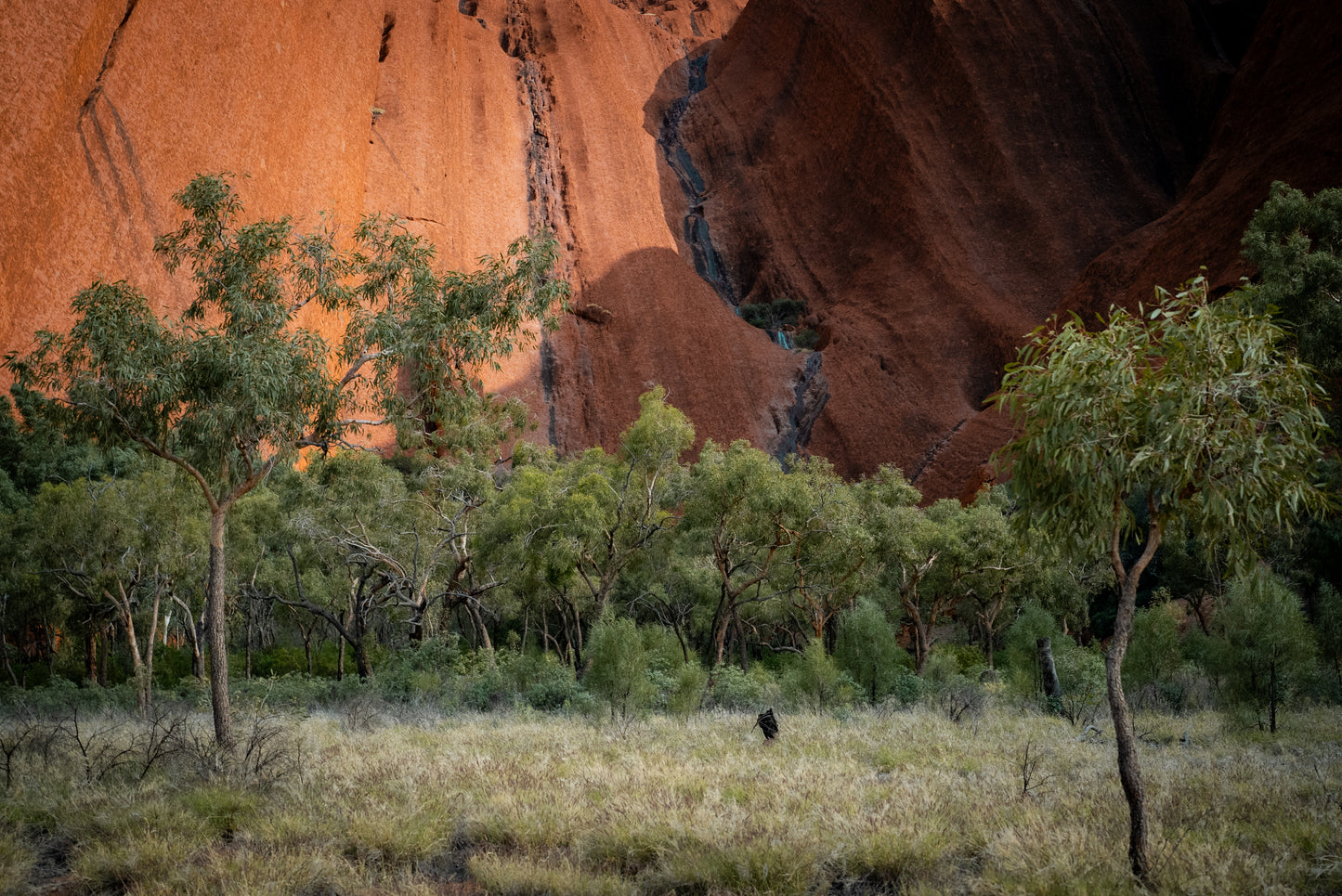 Uluru #18 (unframed)
