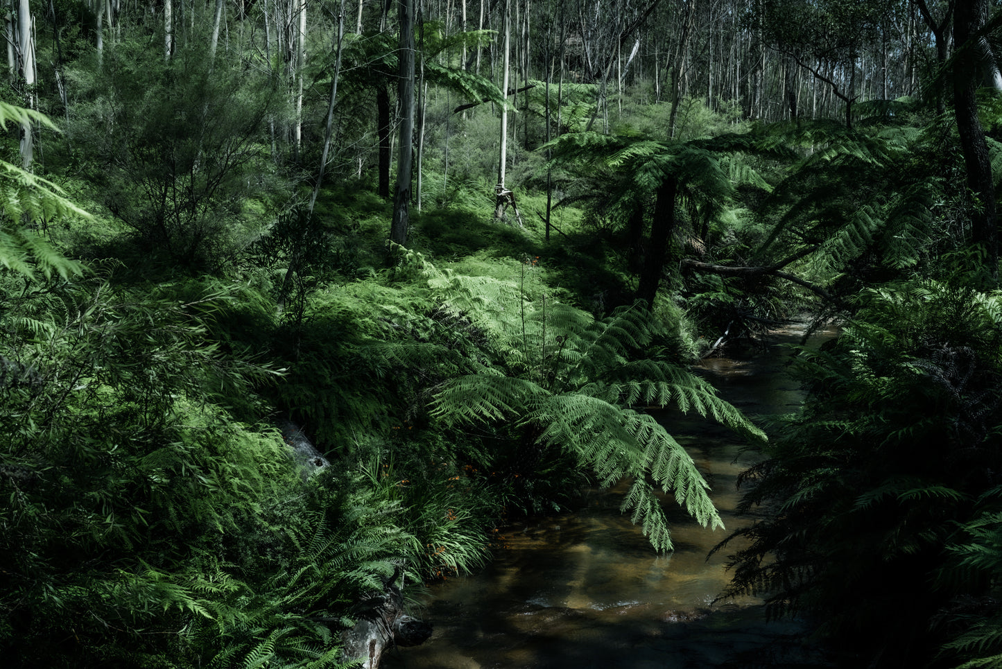 Blue Mountains #3 (unframed)