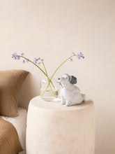 Load image into Gallery viewer, LUV's Dog "Park"