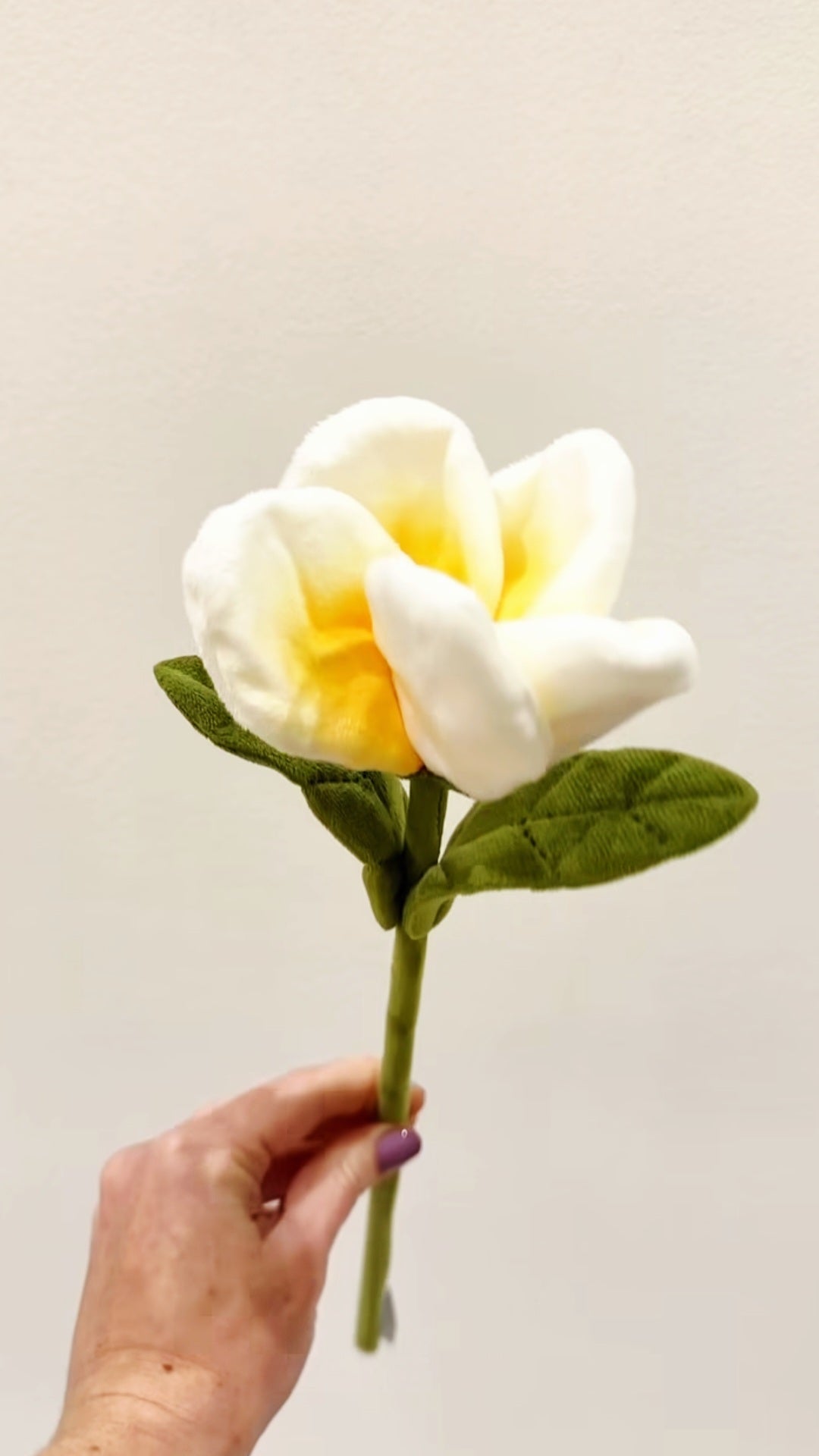 Flower Market 2026 (Singaporean Natives)
