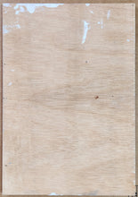 Load image into Gallery viewer, #Vote Sock Puppets (Original)