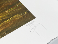 Load image into Gallery viewer, Flyer Liar