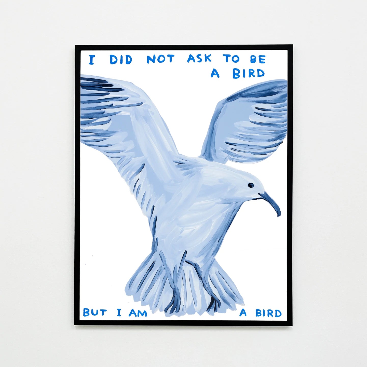 I Did Not Ask To Be A Bird