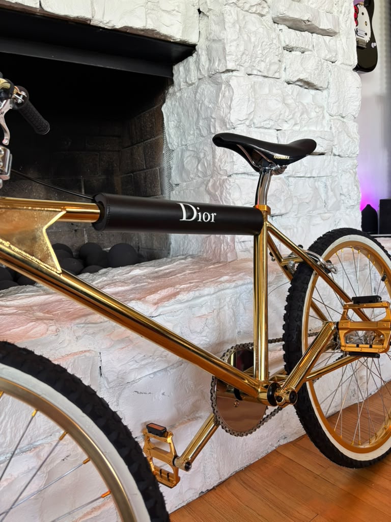 Bogarde X Dior Golden BMX