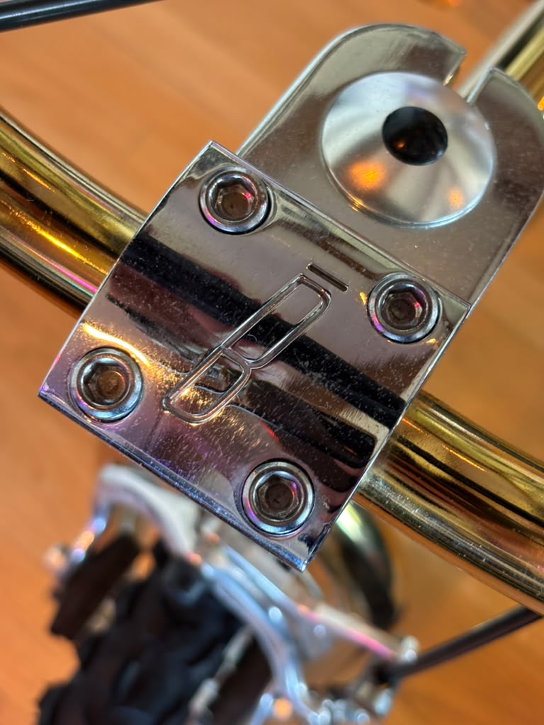 Bogarde X Dior Golden BMX