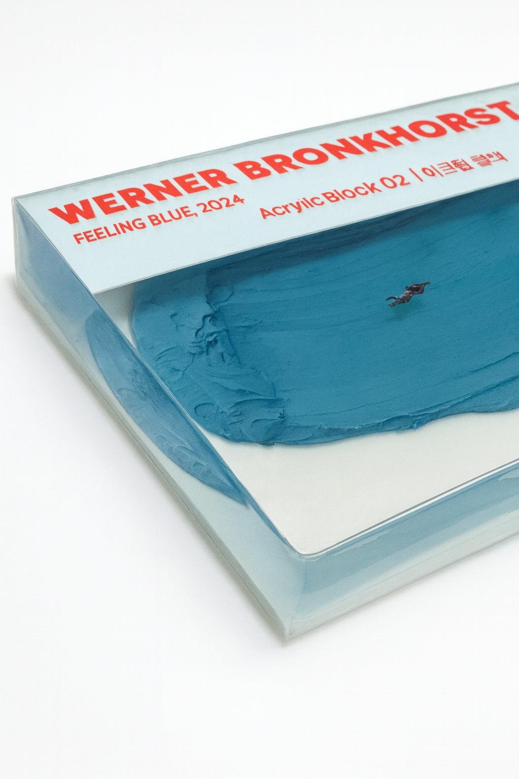 Print in acrylic block