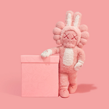 Load image into Gallery viewer, HOLIDAY INDONESIA - Accomplice Plush
