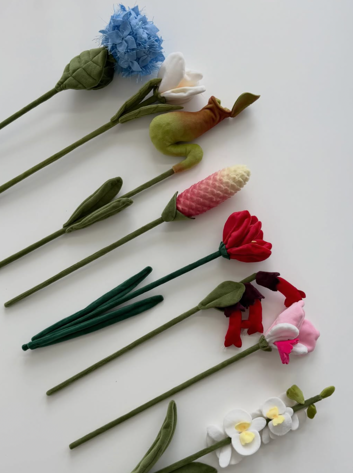 Flower Market 2026 (Singaporean Natives)