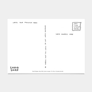 Signs of the Zodiac Postcards