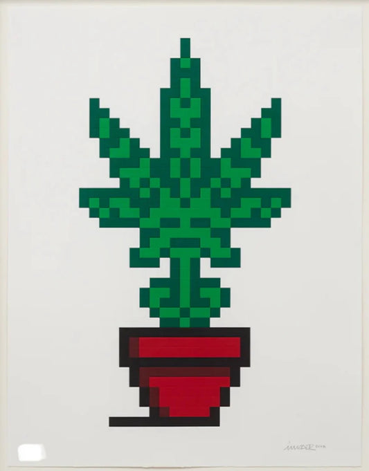 Hollyweed - Red Pot