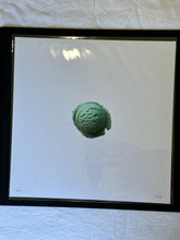 Load image into Gallery viewer, FULL SET Jeni&#39;s Editions (12 prints)
