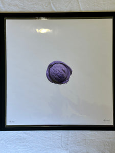 FULL SET Jeni's Editions (12 prints)