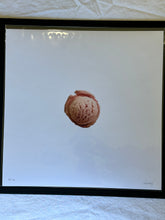 Load image into Gallery viewer, FULL SET Jeni&#39;s Editions (12 prints)
