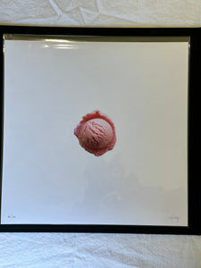 FULL SET Jeni's Editions (12 prints)