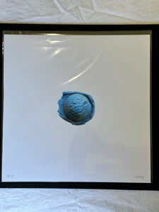 FULL SET Jeni's Editions (12 prints)
