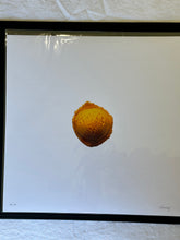 Load image into Gallery viewer, FULL SET Jeni&#39;s Editions (12 prints)
