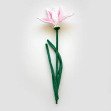 Load image into Gallery viewer, Flower Market Bundle
