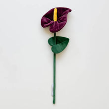 Load image into Gallery viewer, Flower Market Bundle
