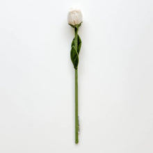 Load image into Gallery viewer, Flower Market Bundle
