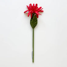 Load image into Gallery viewer, Flower Market Bundle
