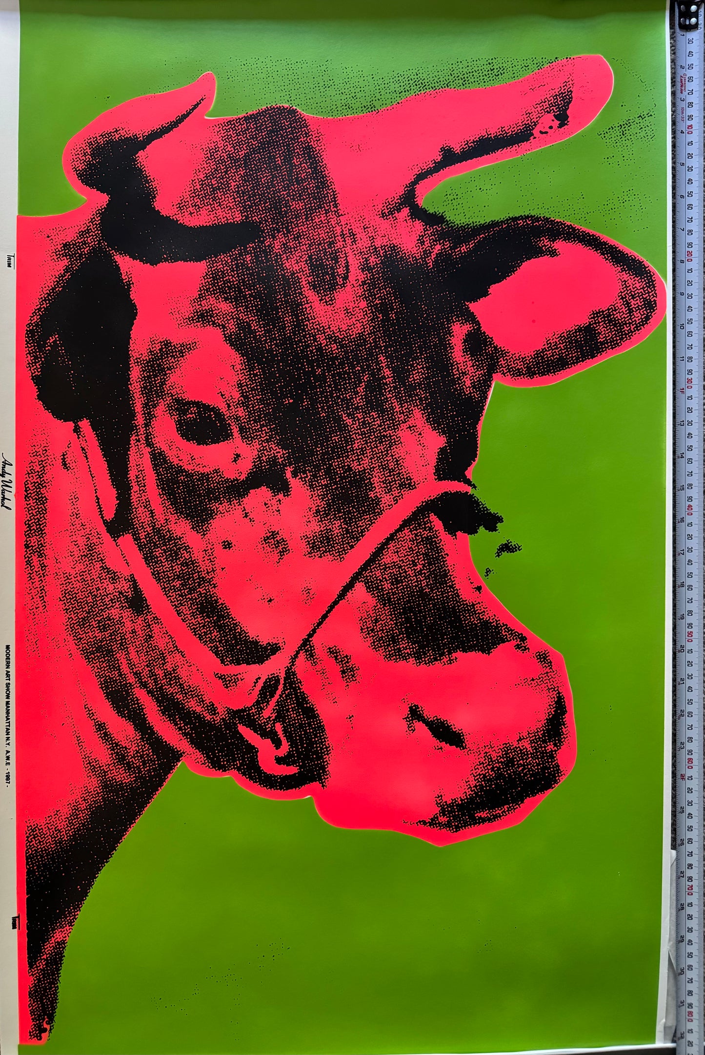 Manhattan Cow (Green)