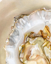 Load image into Gallery viewer, Shucked
