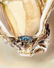 Load image into Gallery viewer, Shucked
