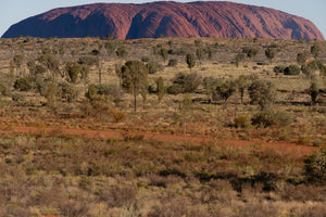 Uluru #11 (unframed)