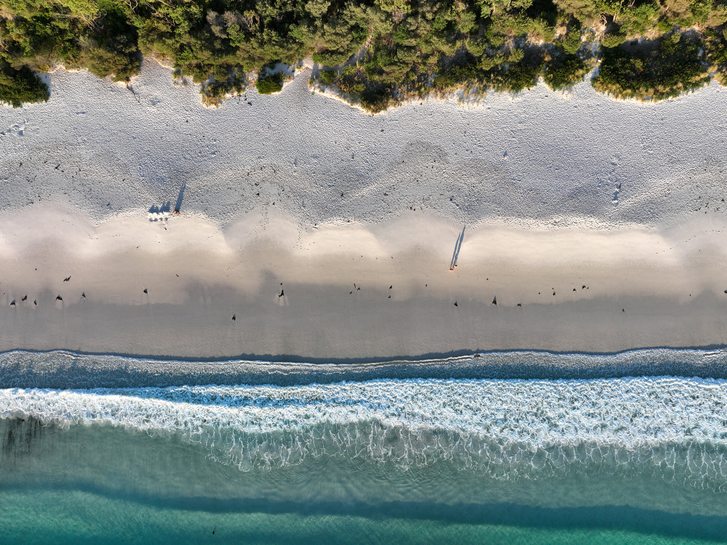 Jervis Bay #2 (unframed)