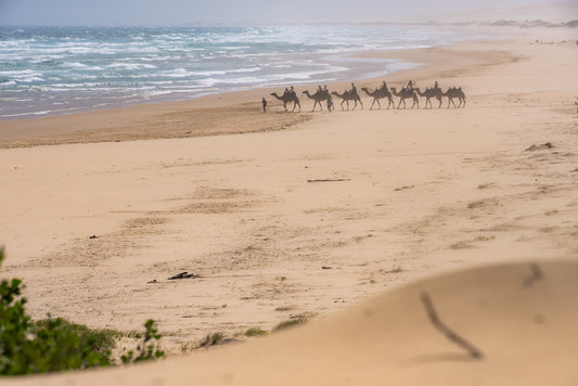 Newcastle #1 (unframed)