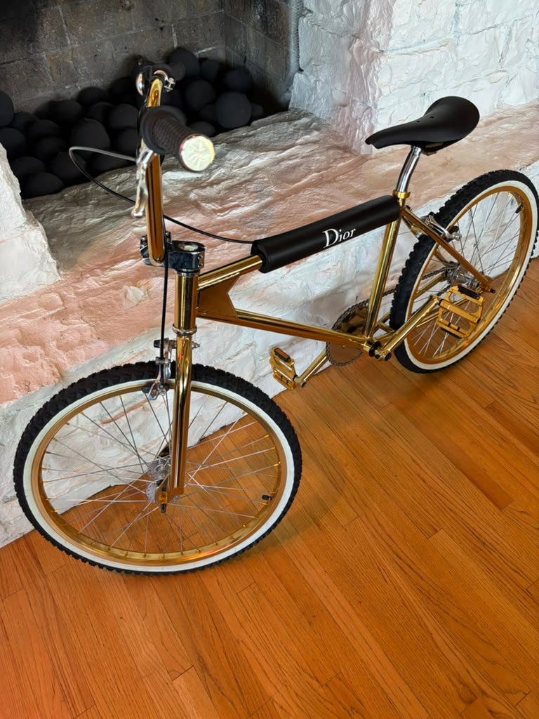 Bogarde X Dior Golden BMX
