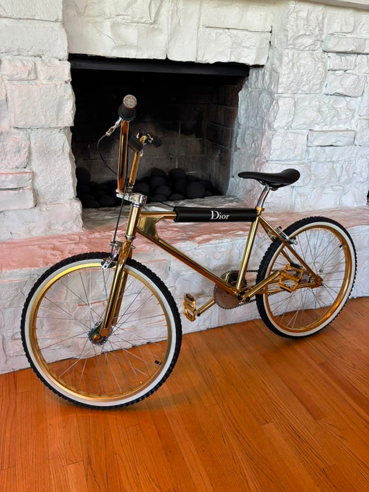 Bogarde X Dior Golden BMX
