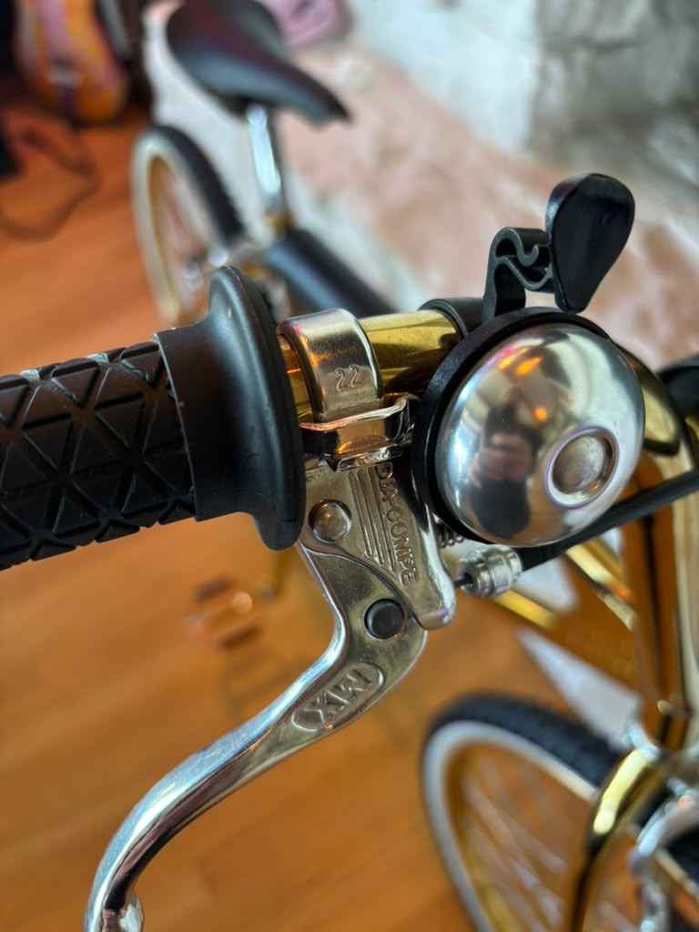Bogarde X Dior Golden BMX