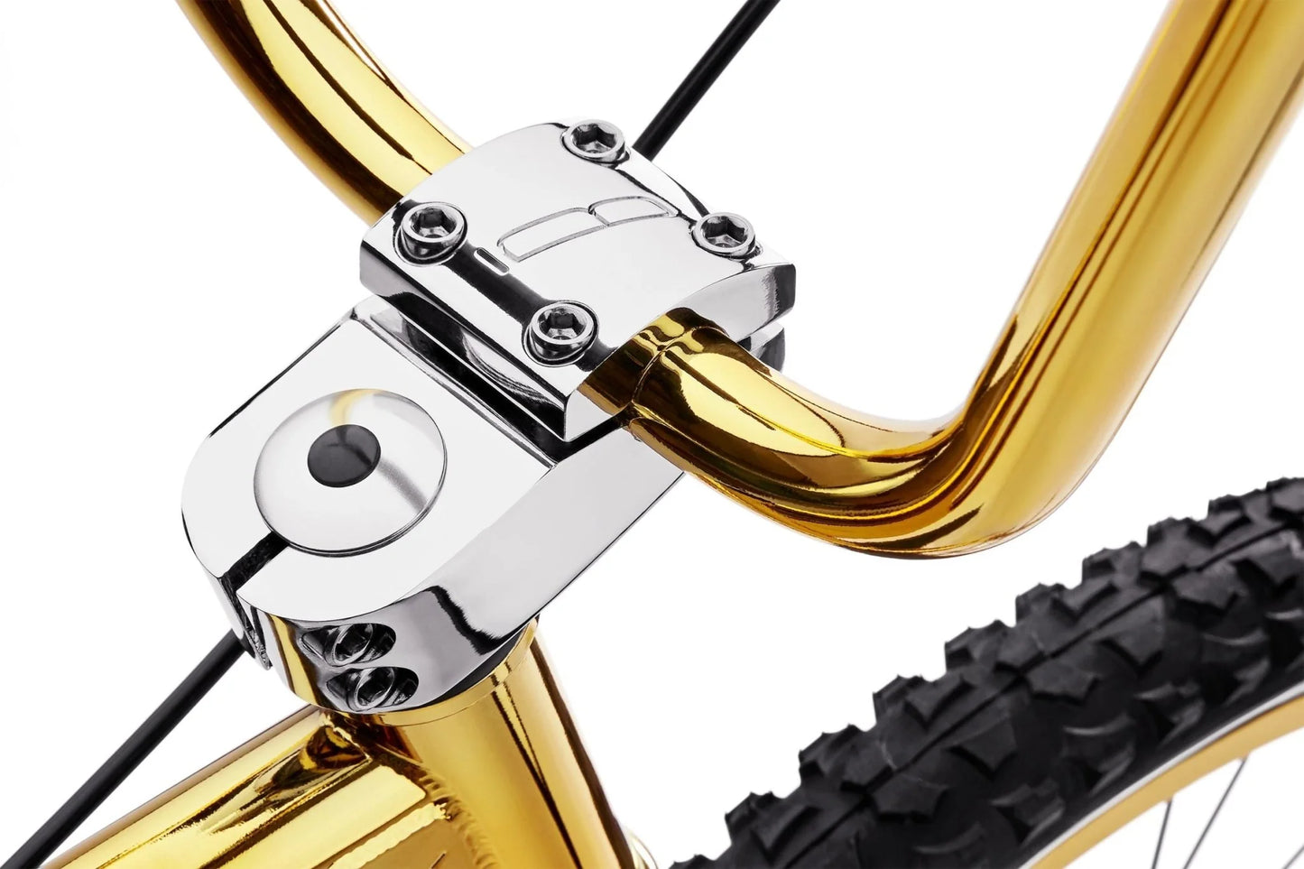 Bogarde X Dior Golden BMX