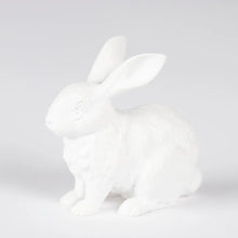 Load image into Gallery viewer, Rabbit Set (White)
