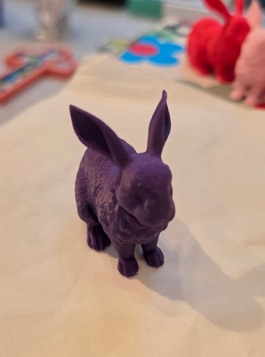 Lucky Rabbit
