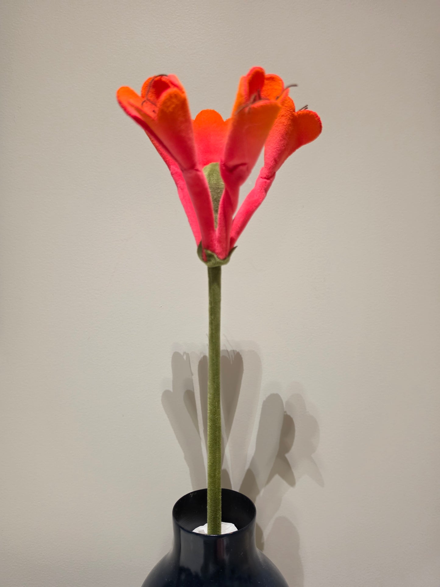 Flower Market 2026 (Australian Native)