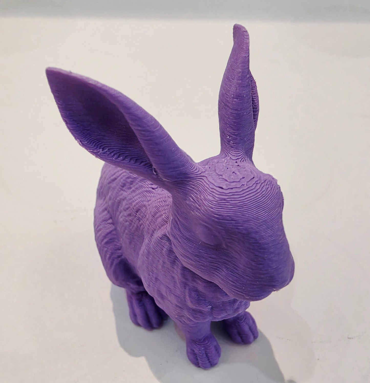 Lucky Rabbit